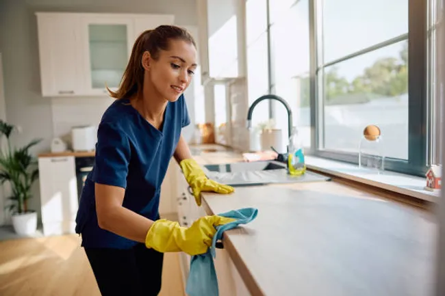 Recurring Cleaning Plans, Natural Nature Cleaning